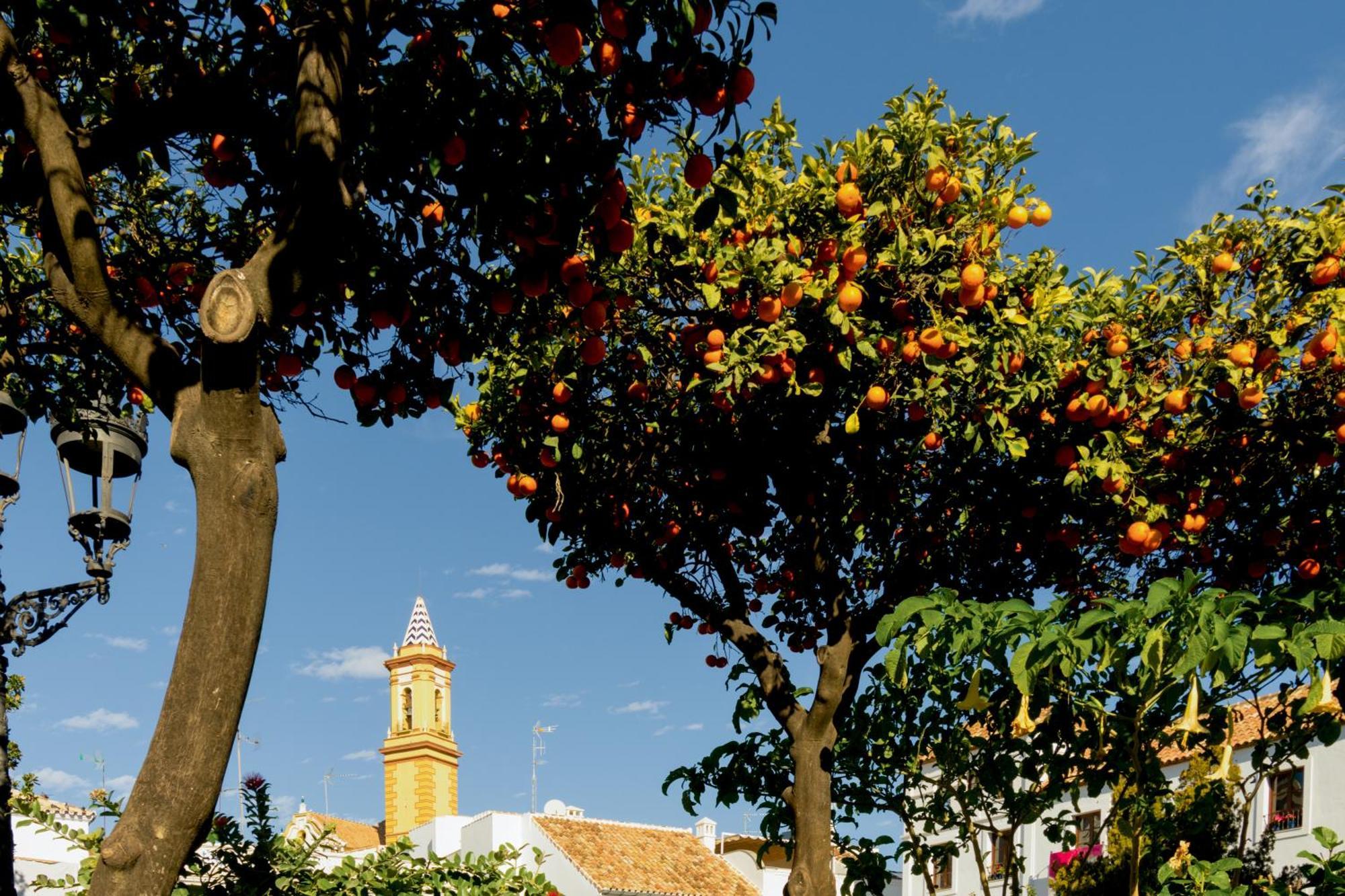 Casa Del Patio - Boutique Apartments (Adults Only) Estepona Luaran gambar